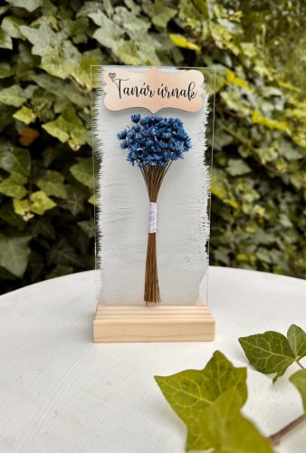 Tanár úrnak ajándék plexi, tartóval-kicsi